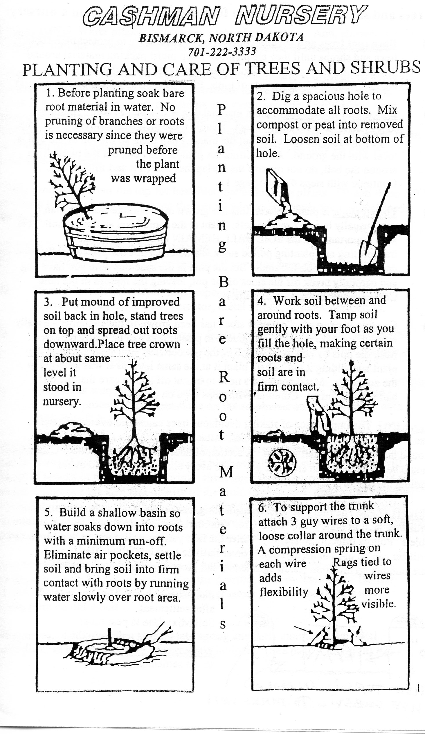 Cashman Nursery Bare Root